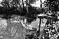 Bernhard Saalfeld - L1001390.JPG