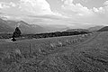 Bernhard Saalfeld - L1001445.JPG