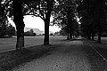 Bernhard Saalfeld - L1001474.JPG