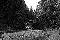 Bernhard Saalfeld - L1001486.JPG