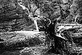 Bernhard Saalfeld - L1001487.JPG