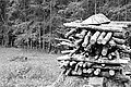 Bernhard Saalfeld - L1001488.JPG