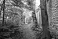 Bernhard Saalfeld - L1001512.JPG