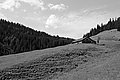 Bernhard Saalfeld - L1001538.JPG