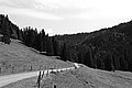 Bernhard Saalfeld - L1001539.JPG