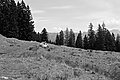 Bernhard Saalfeld - L1001549.JPG