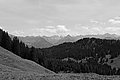 Bernhard Saalfeld - L1001550.JPG