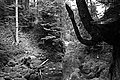 Bernhard Saalfeld - L1001580.JPG