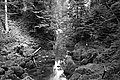 Bernhard Saalfeld - L1001581.JPG
