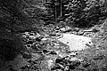 Bernhard Saalfeld - L1001582.JPG