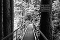 Bernhard Saalfeld - L1001583.JPG