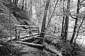 Bernhard Saalfeld - L1001584.JPG