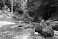 Bernhard Saalfeld - L1001586.JPG
