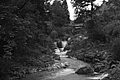 Bernhard Saalfeld - L1001688.JPG