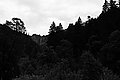 Bernhard Saalfeld - L1001694.JPG