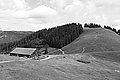 Bernhard Saalfeld - L1001707.JPG