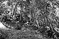 Bernhard Saalfeld - L1001712.JPG