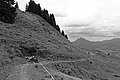 Bernhard Saalfeld - L1001716.JPG