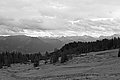Bernhard Saalfeld - L1001719.JPG