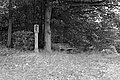 Bernhard Saalfeld - L1001743.JPG