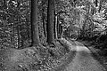 Bernhard Saalfeld - L1001747.JPG