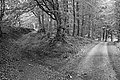 Bernhard Saalfeld - L1001749.JPG