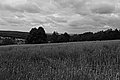 Bernhard Saalfeld - L1001750.JPG