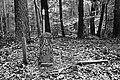 Bernhard Saalfeld - L1001752.JPG