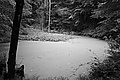 Bernhard Saalfeld - L1001768.JPG