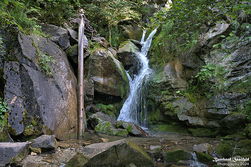 Bernhard Saalfeld - Hubertusfall