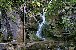 Hubertusfall_t.jpg