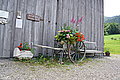 Bernhard Saalfeld - DSC03297.JPG