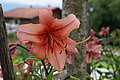 Bernhard Saalfeld - DSC03300.JPG