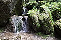 Bernhard Saalfeld - DSC03303.JPG