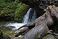 Bernhard Saalfeld - DSC03305.JPG