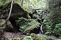 Bernhard Saalfeld - DSC03306.JPG