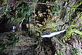 Bernhard Saalfeld - DSC03308.JPG