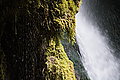 Bernhard Saalfeld - DSC03312.JPG