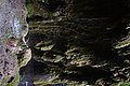 Bernhard Saalfeld - DSC03315.JPG