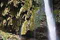 Bernhard Saalfeld - DSC03318.JPG