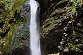 Bernhard Saalfeld - DSC03319.JPG