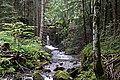 Bernhard Saalfeld - DSC03326.JPG