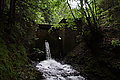 Bernhard Saalfeld - DSC03328.JPG