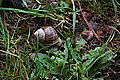 Bernhard Saalfeld - DSC03329.JPG
