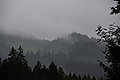 Bernhard Saalfeld - DSC03331.JPG
