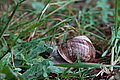 Bernhard Saalfeld - DSC03332.JPG