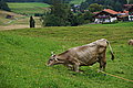 Bernhard Saalfeld - DSC03353.JPG