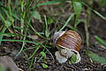 Bernhard Saalfeld - DSC03366.JPG