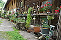 Bernhard Saalfeld - DSC03371.JPG