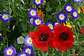Bernhard Saalfeld - DSC03373.JPG